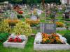 Энергетика кладбищ или цветы с могилы Для чего берут цветы с кладбища